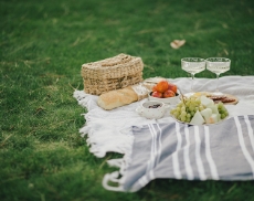 Picnic_Perfetto