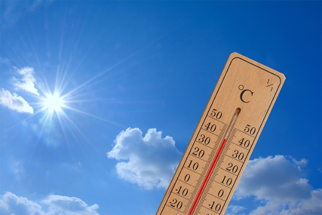 cosa-mangiare-per-combattere-il-caldo