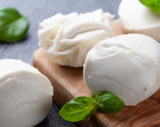 mozzarella