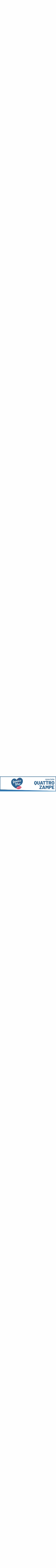 201125_Amico_mio