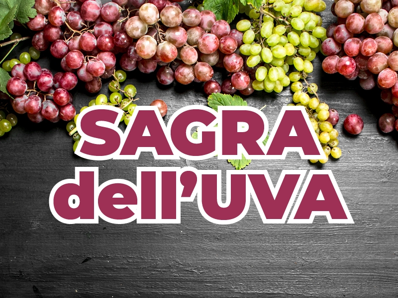 BANNER_AP21_STD-800x600-COSICOMODO2