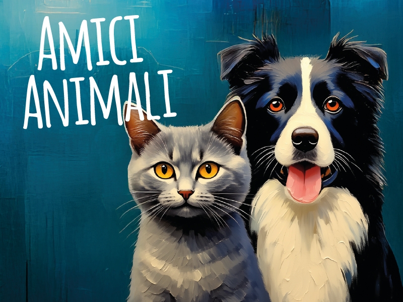 BANNER-COSICOMODO_2500000000594-FU-0_800x600-PET