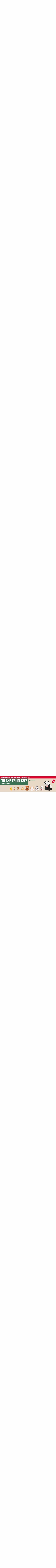 Slider_cosicomodo_SC_TRUDI__2340x640_full