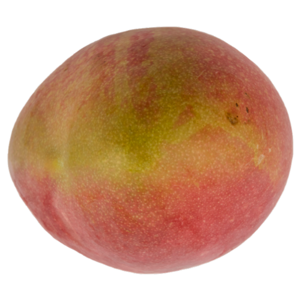 Selex Saper di Sapori Mango 380 g