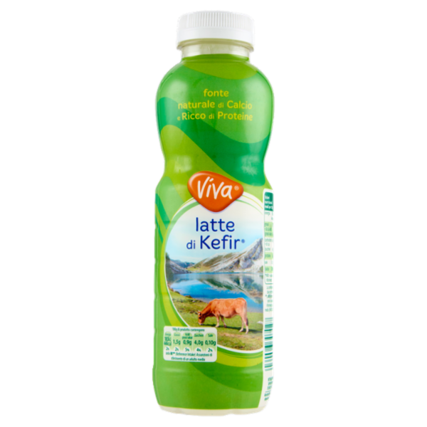 Viva Latte di Kefir 480 g