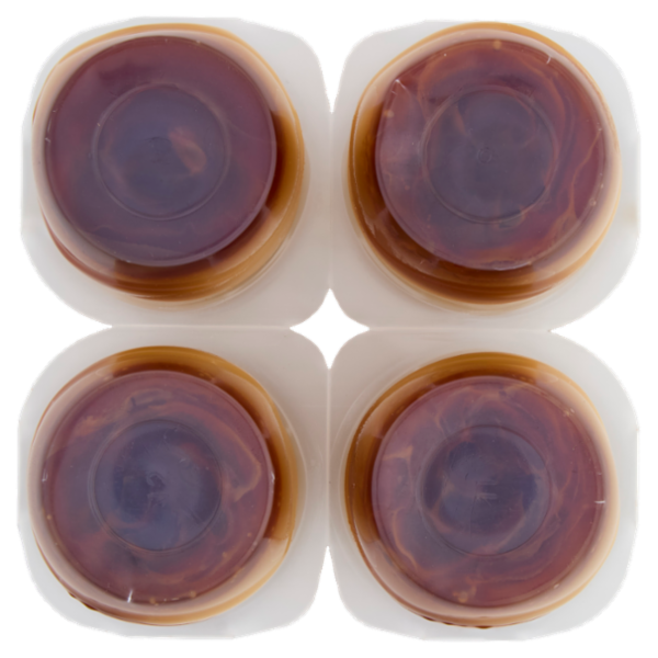 DANETTE, budino gusto caramello, fresco dessert, Senza Conservanti, Senza Glutine, 4x125g