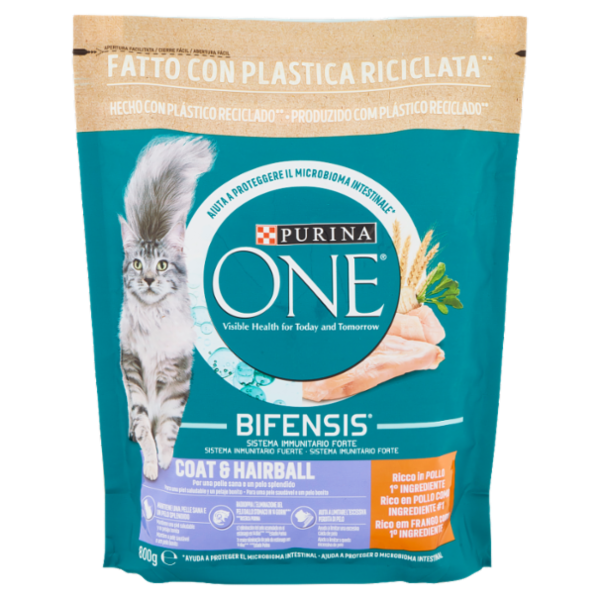 PURINA ONE Coat & Hairball Ricco in Pollo 800 g