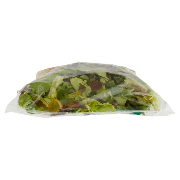 IL GIGANTE le Insalate Gran Mix 180 g