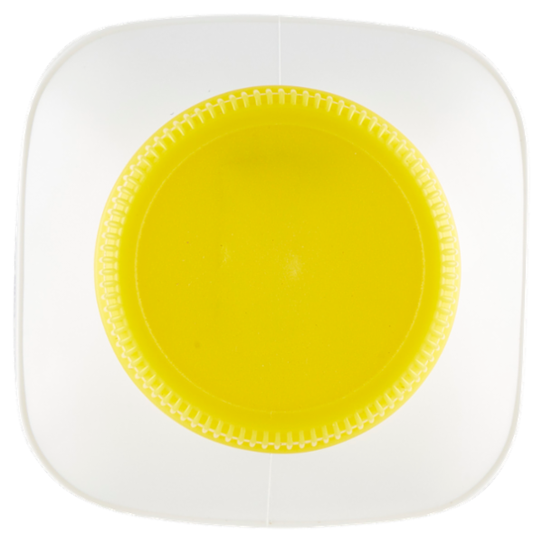 Chef Panna Fresca Senza Lattosio 230 ml