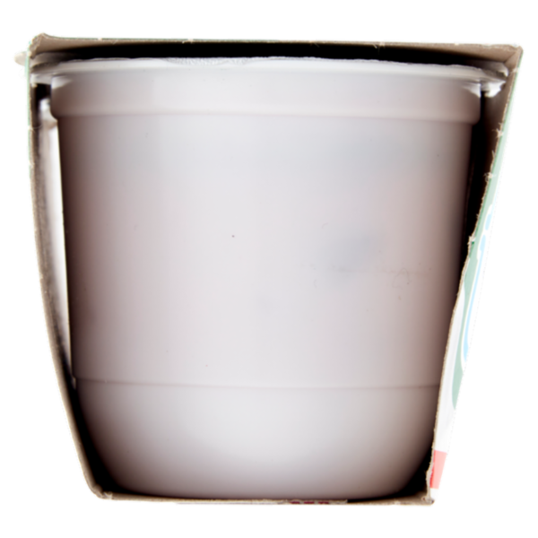 Centrale del Latte di Roma Zero Grassi Fragola Yogurt magro con frutta in pezzi 2 x 125 g