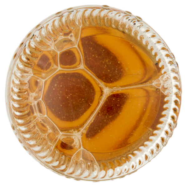 Corona Extra Birra lager internazionale bottiglia 33 cl