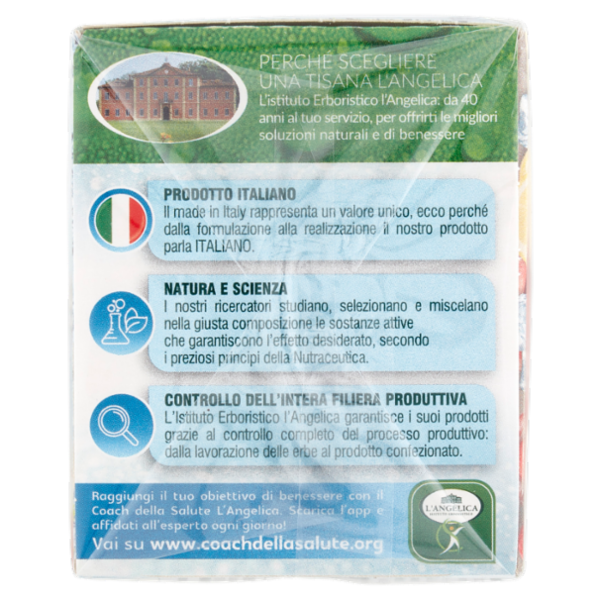 L'Angelica Tisana a Freddo Sgonfiante Digestiva 18 Filtri 39.6 g