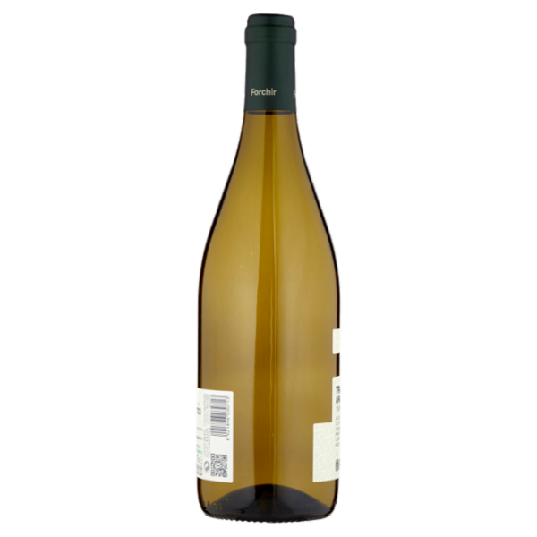 Forchir Traminer Aromatico 