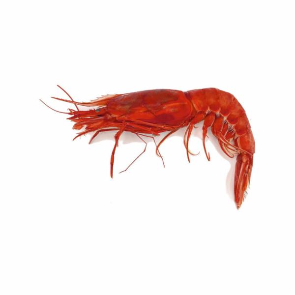 Gambero Rosso decongelato