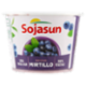 Sojasun Bifidus Mirtillo 250 g