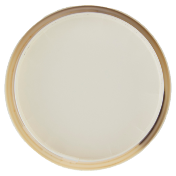 Selex Gelato alla Nocciola con Crema Spalmabile alla Nocciola e Cacao 230 g