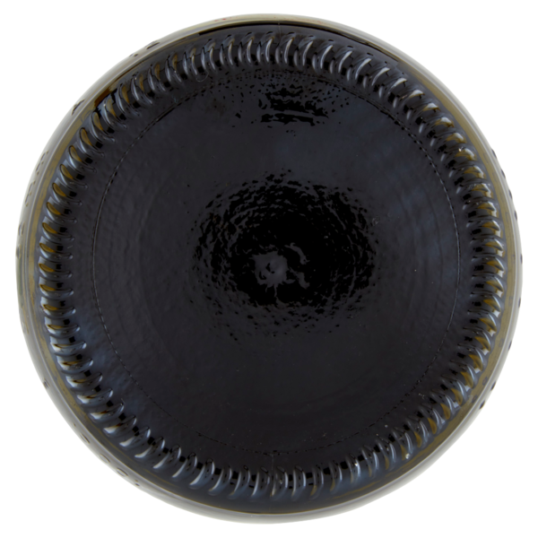 Arioli Olio Extra Vergine di Oliva il Succoliva 1 L