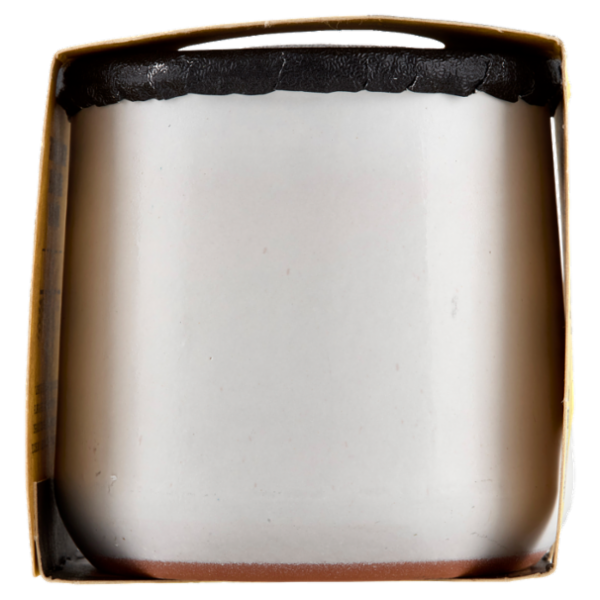 Latteria San Salvatore Dessert Cremoso Vaniglia 120 g