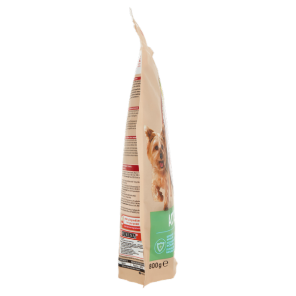 PURINA ONE Mini/Small Active Pollo con Riso 800 g