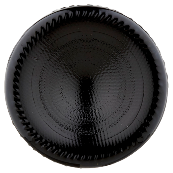 Cavit i Mastri Vernacoli Teroldego Rotaliano DOC 75 cl