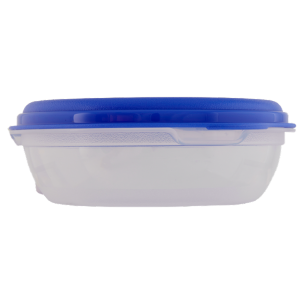 Consilia Saper Scegliere Contenitore Rotondo con Valvola Fresh Wave 1,00 l