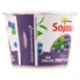 Sojasun Bifidus Mirtillo 250 g