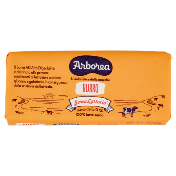 Arborea Burro Senza Lattosio 100 g