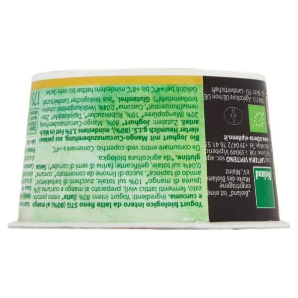Sterzing Vipiteno bio yogurt Mango Curcuma 170 g