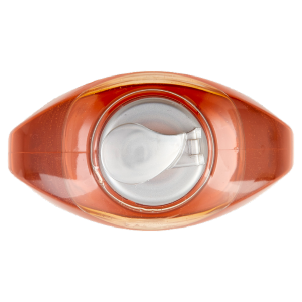 NELSEN Concentrato Anti-Odore 450 ml