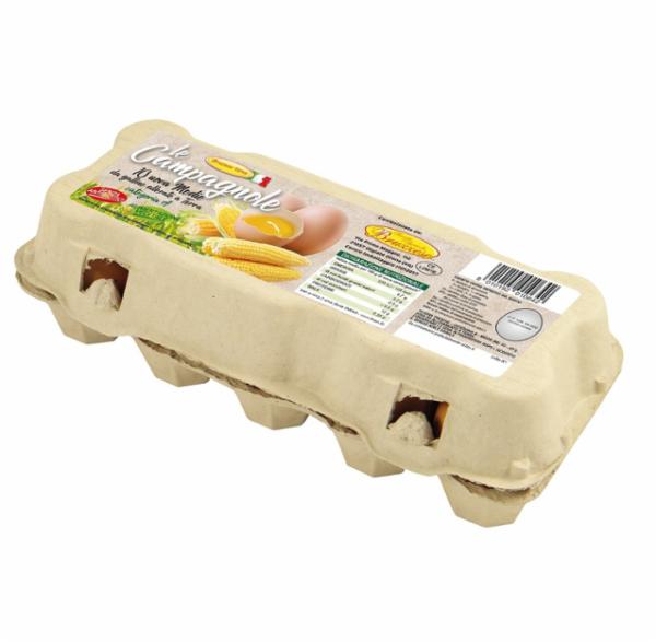 Bruzzese 10 Uova Medie da Galline Allevate a Terra Senza Antibiotici