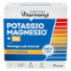 Laboratoires Vitarmonyl Potassio Magnesio* + B6 20 Bustine 64 g