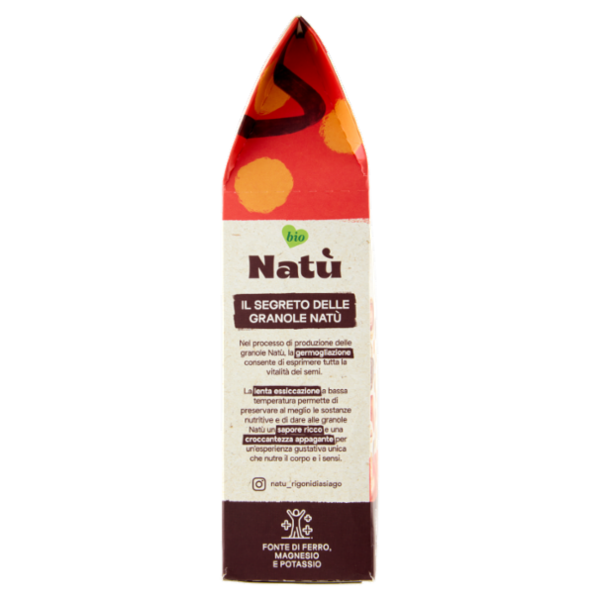 Rigoni di Asiago Natù Fonte di Proteine Vegetali Granola Arachidi e Cioccolato bio 250 g