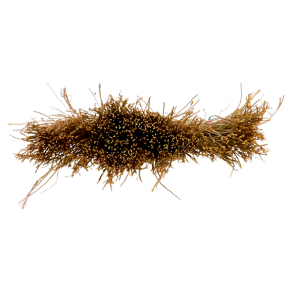 IL GIGANTE Scopa Saggina