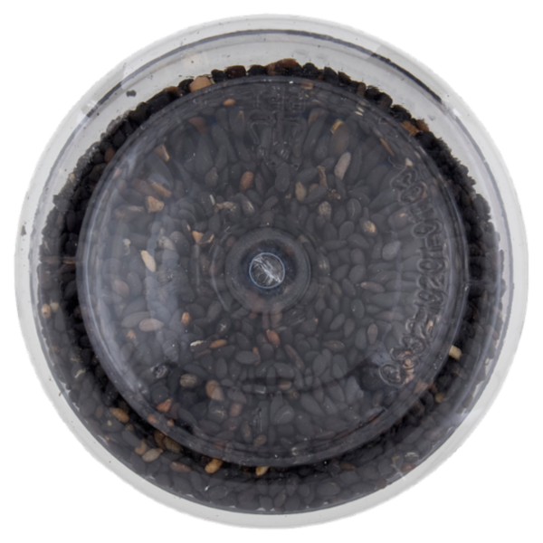 Biyori Semi di sesamo nero tostati 91 g