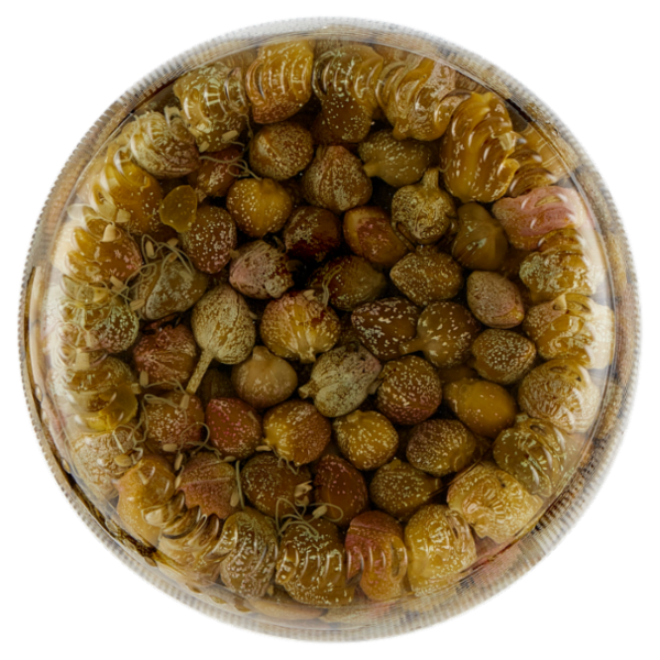 Coelsanus Capperi Lacrimella Aromatizzati con Aceto di vino 700 g