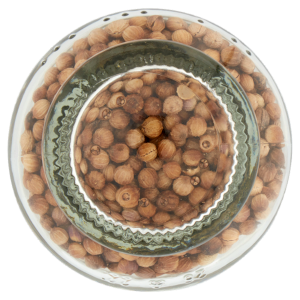 La Drogheria 1880 Coriandolo Frutti 25 g