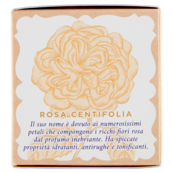 Acqua alle Rose Crema Antirughe Levigante 50 ml