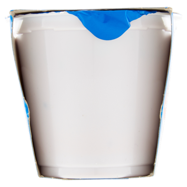 Selex Yogurt Intero Frutti di Bosco con Frutta in Pezzi 2x125 g