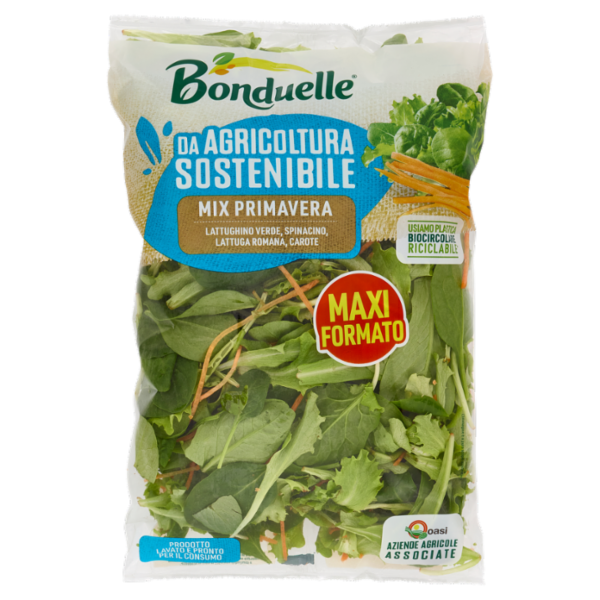 Bonduelle Mix Primavera 200 g