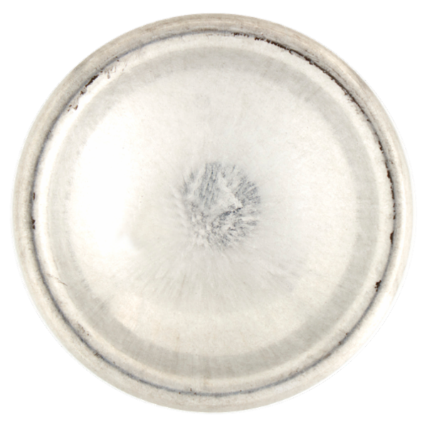 Neutro Roberts Essenze Italiane Firenze Olio Essenziale di Iris e Ambra Grigia 200 ml