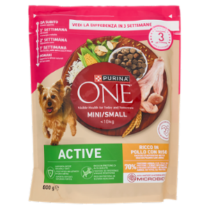 PURINA ONE Mini/Small Active Pollo e Riso 800g