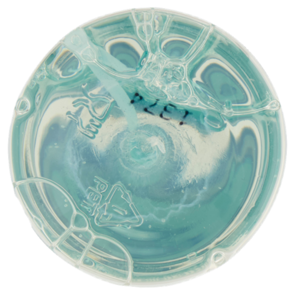 Giardino Dei Sensi Acqua Profumata Corpo e Capelli Pesca & Fiori Chiari 110 ml