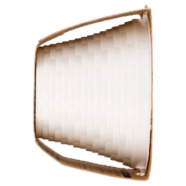 Dreamfarm Alternativa 100% Vegetale alla Ricotta 100 g