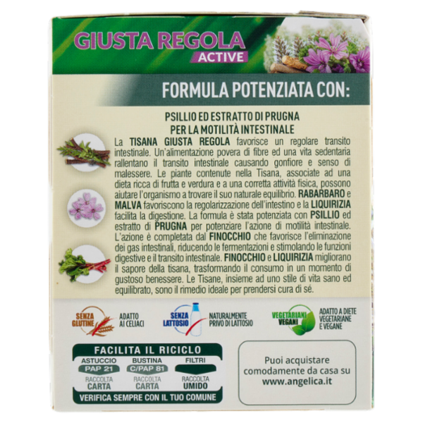 L'Angelica Le Tisane Giusta Regola Active 18 Filtri 36.0 g