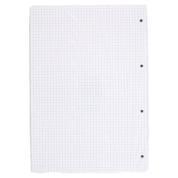 Selex Ricambio Bianco Quaxima Formato A4 80 Fogli 80 g Quadretti 5 mm