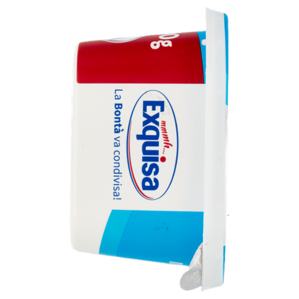 Exquisa il Fresco Cremoso Light 300 g