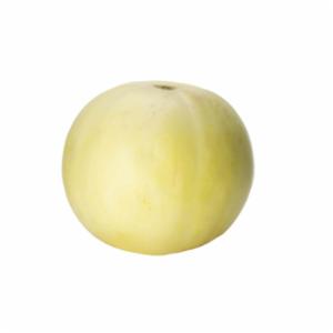 Melone Liscio Bianco