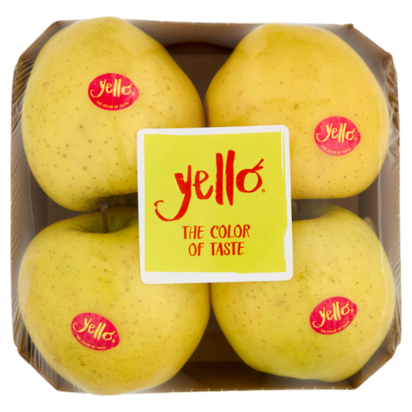 yello by Marlene Shinano Gold vassoio 4 frutti