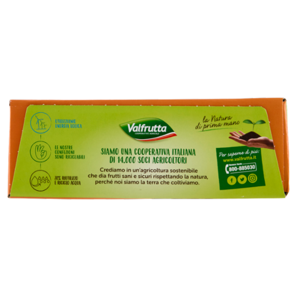 Valfrutta i Triangolini Albicocca Italiana succo e polpa Brik 12 x 100 ml