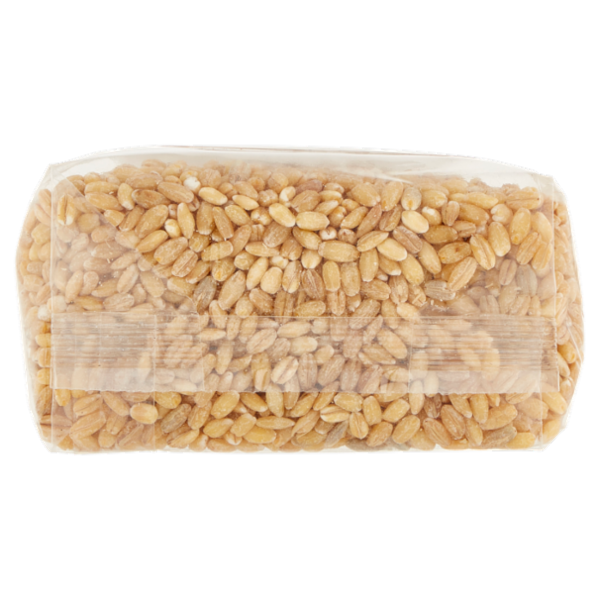 Consilia Cereali Secchi Orzo Perlato Biologico 300 g